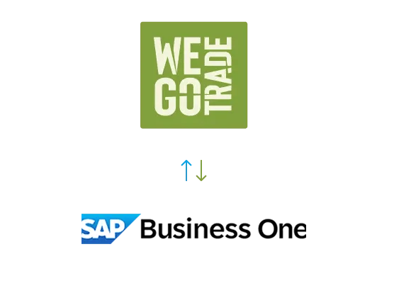 SAP Business One-12