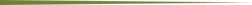 Vector 1