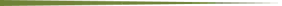 border-green-line