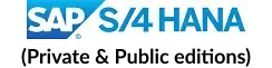 sap-4hna-1