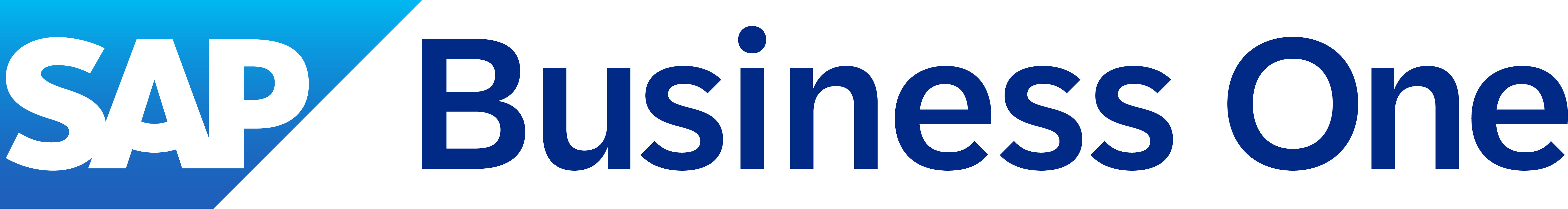 SAP Business One-1