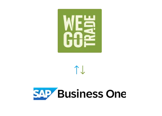 SAP Business One-12